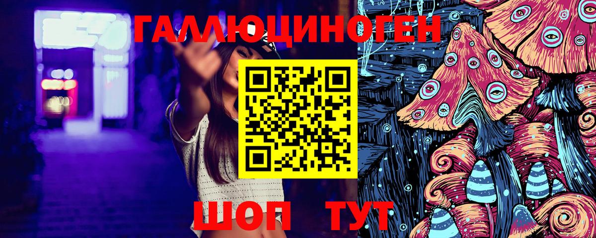 Галлюциногенные грибы Psilocybine cubensis Железногорск