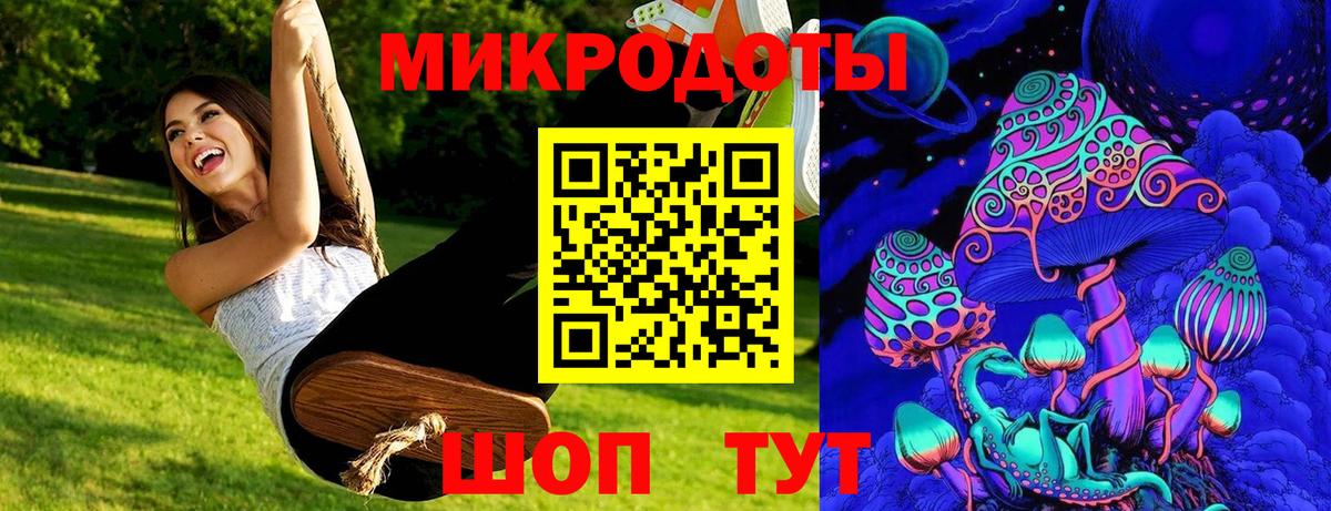 Железногорск  Псилоцибиновые грибы Psilocybine cubensis  Вход с VPN 